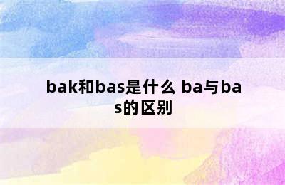 bak和bas是什么 ba与bas的区别